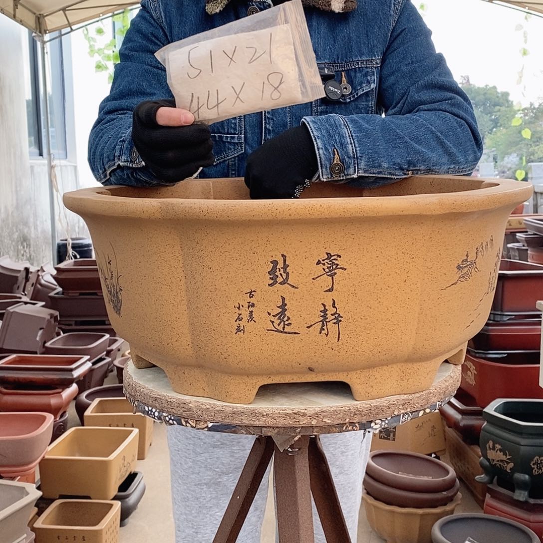 紫砂花盆紫砂花盆