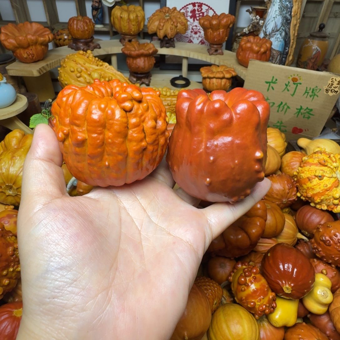 特价葫芦不退不换
