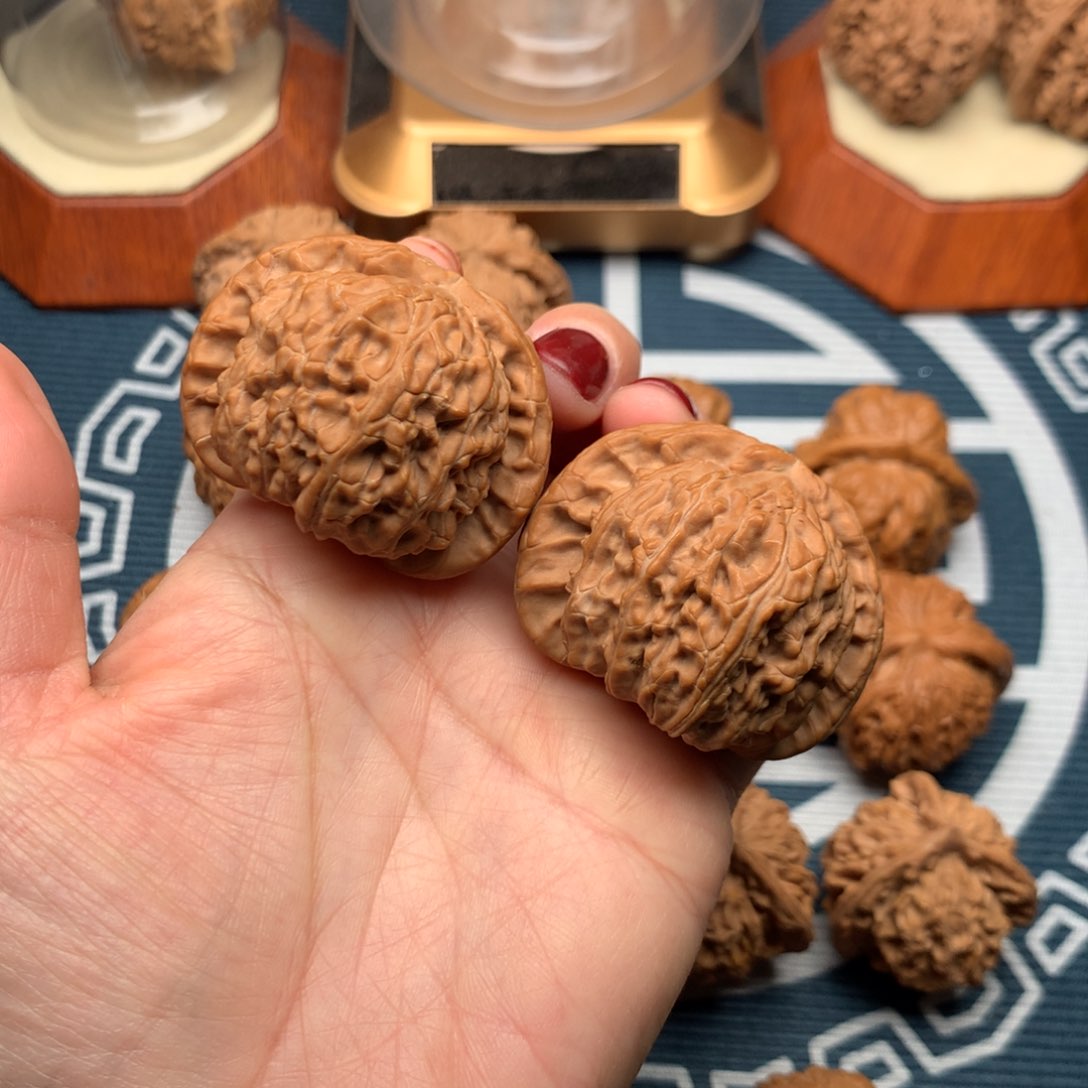 文玩核桃把件八*里白狮子