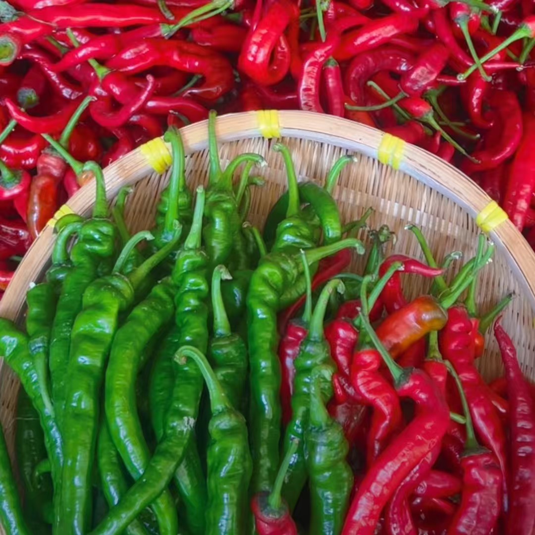 湘西土辣椒湘西高山猕猴桃拼装链接