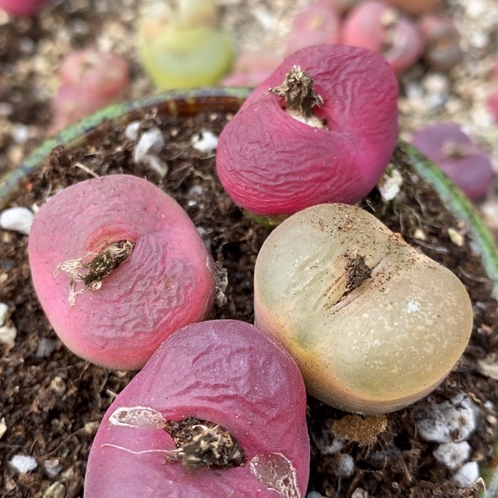 285有伤一组一组