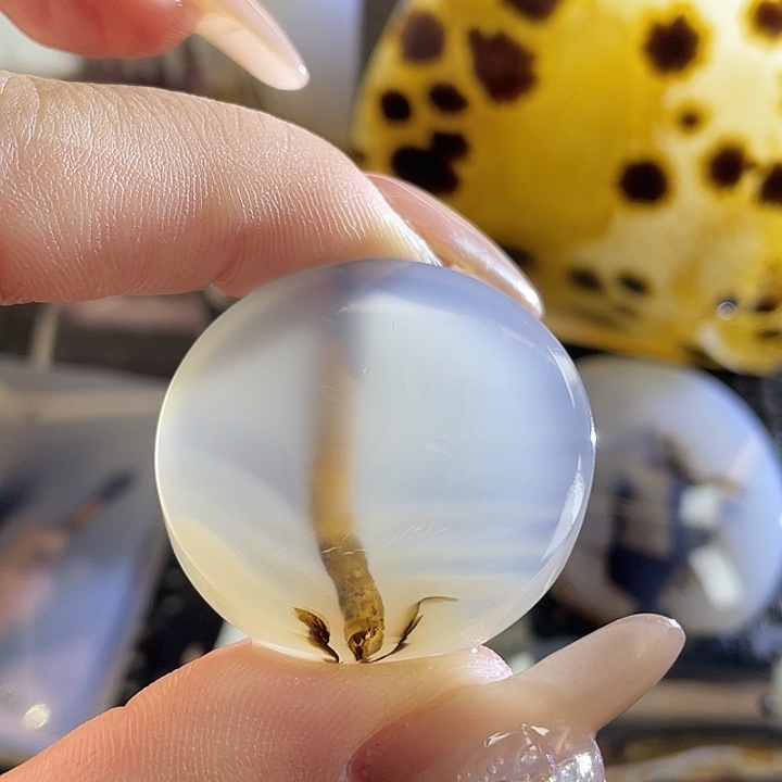 石***歌玛瑙/玉髓未镶嵌颈饰