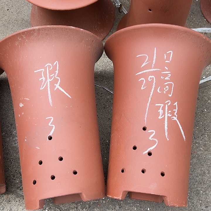 周三周四自始至终周三周四 