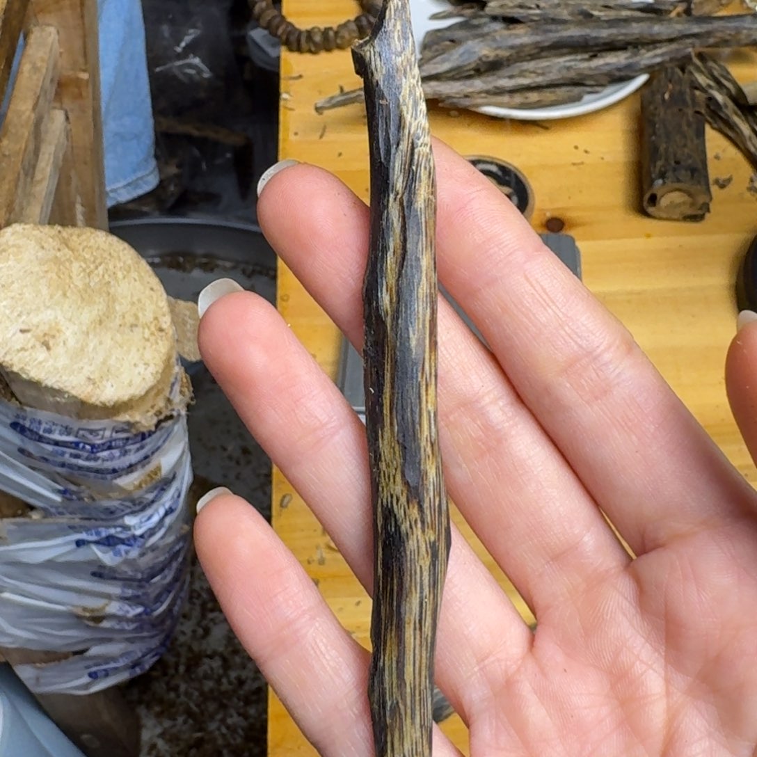 沉香沉香碎屑天然树心油虫漏3克