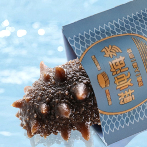 淳古鲜炖即食海参15头/斤Q弹正宗营养