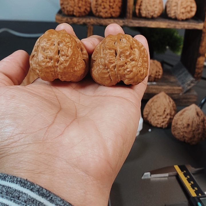 40尺蛤蟆头骨质好红皮果