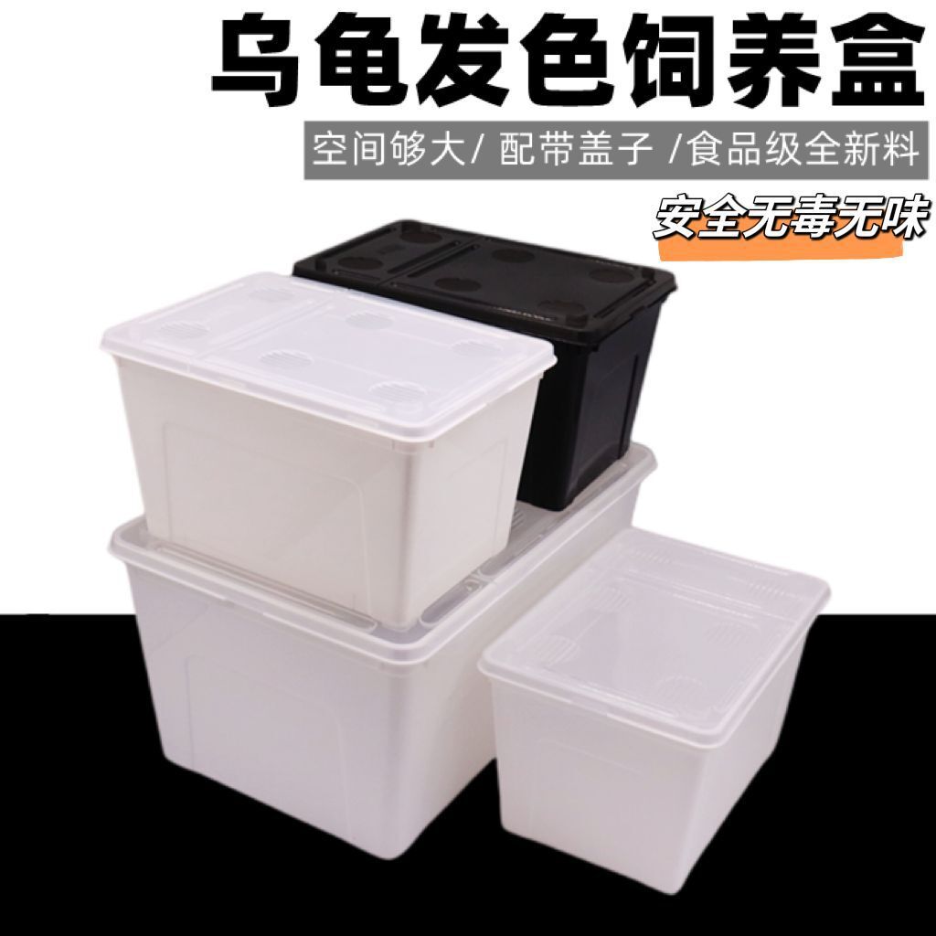 乌龟黑白发色盒龟苗发色孵化隔离饲养盒分离盒龟苗窄桥隔离盒龟缸