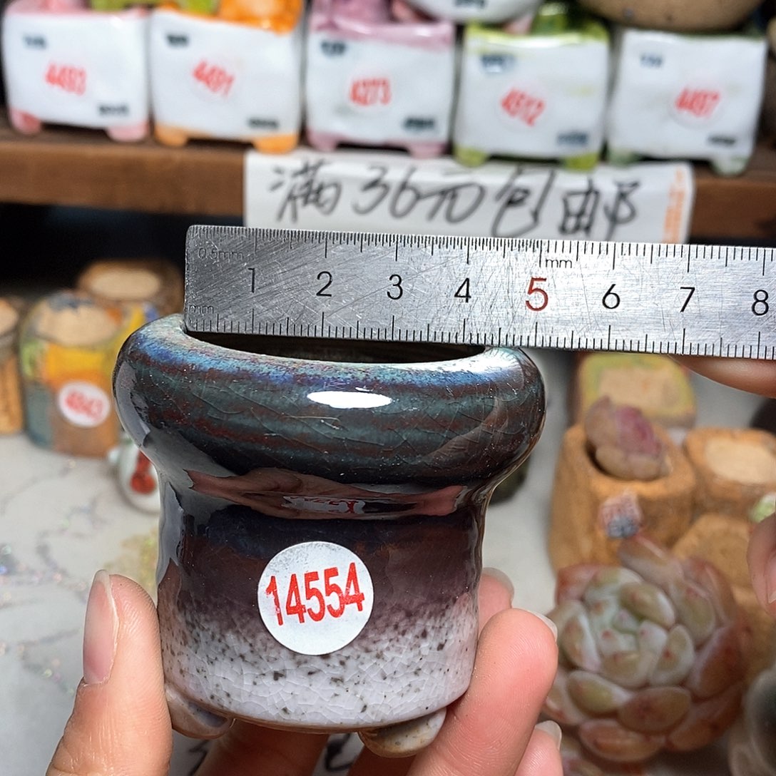 红陶拍5送一个小