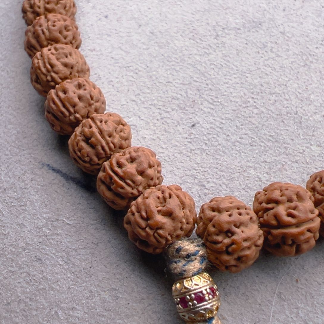 菩提根/象牙果手串美***哦