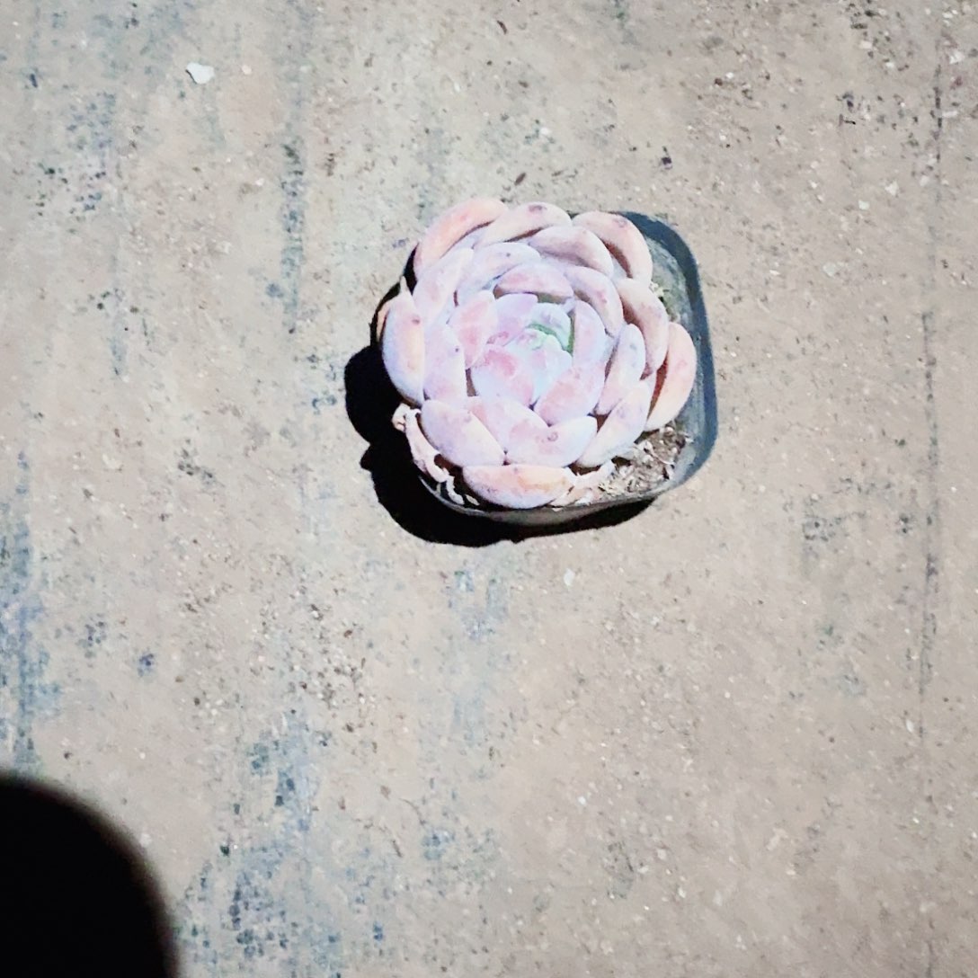 高***肉满20包邮零下拍保温箱