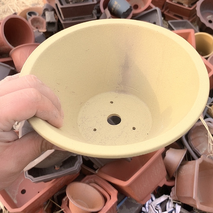 紫砂优秀青年科技人才创新