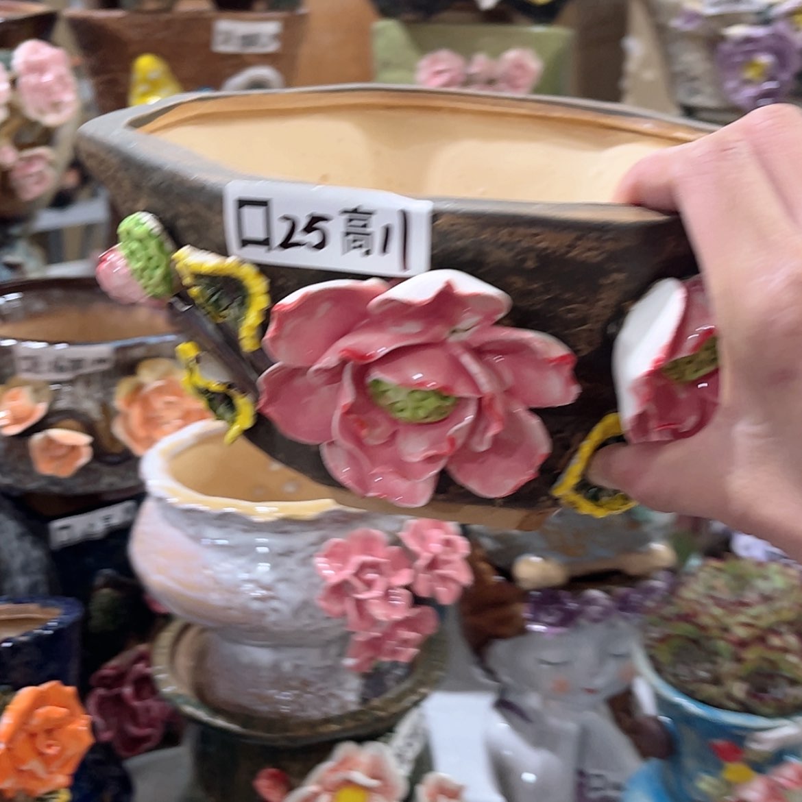 【闪购商品】红陶福利