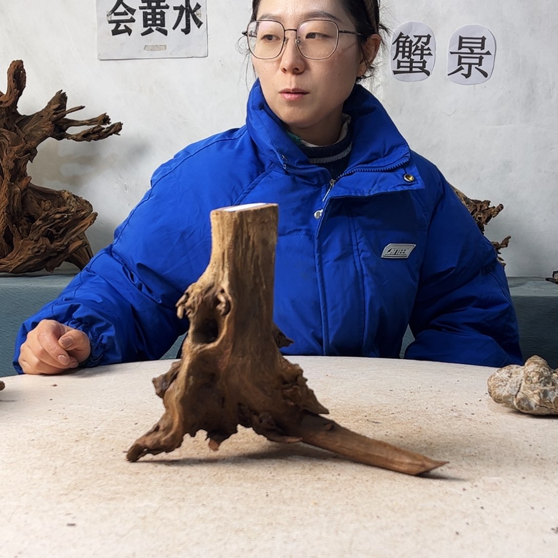 ?****?沉木造景寄居蟹造景