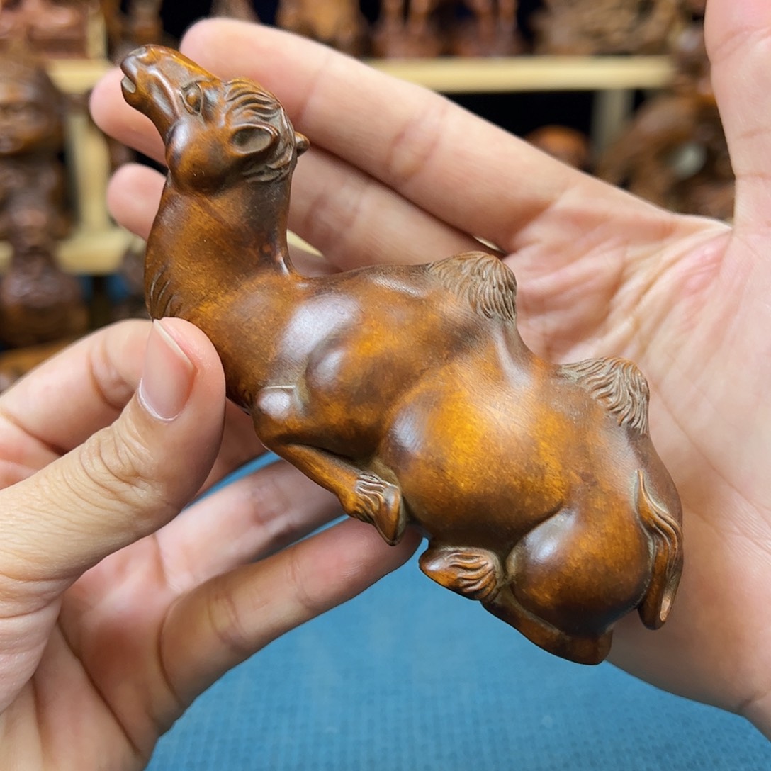 黄杨木小叶黄杨木