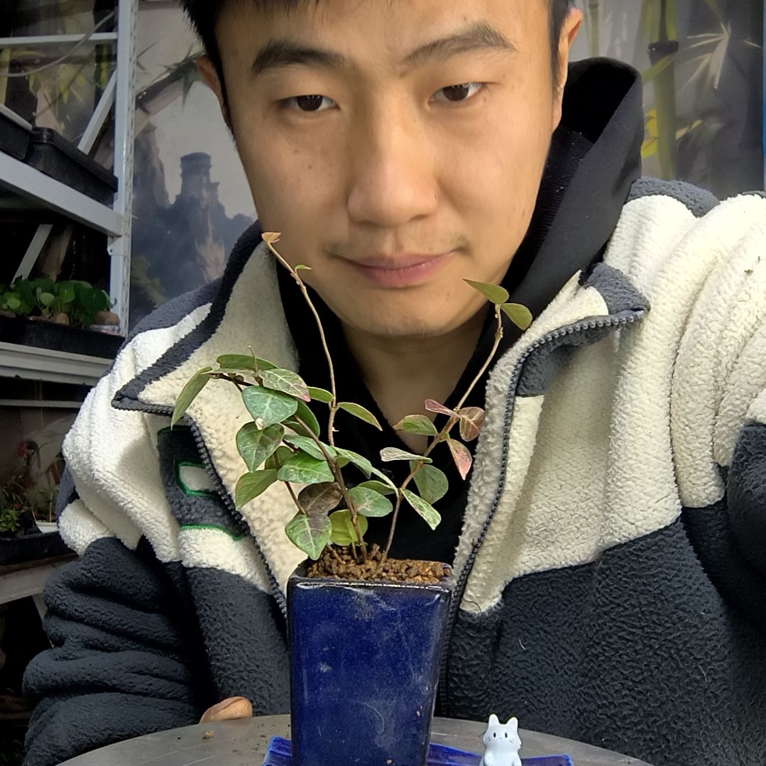 如****এ中青园艺一物一拍261