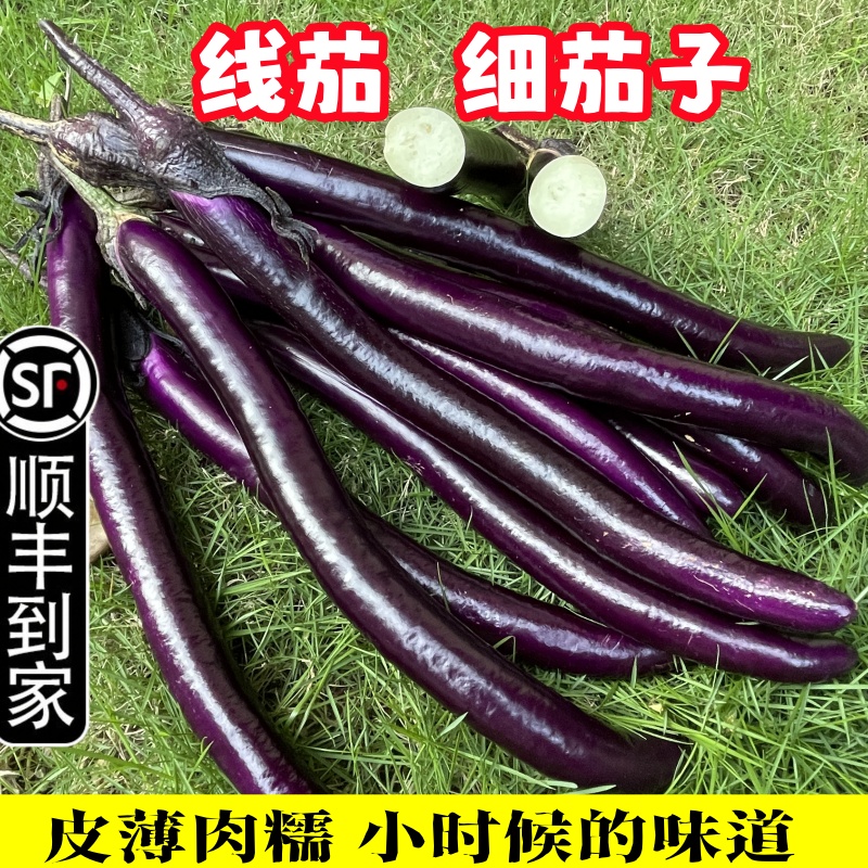 【顺丰包邮】新鲜农家线茄子当季长茄杭茄软糯鲜皮薄肉嫩蔬菜水果