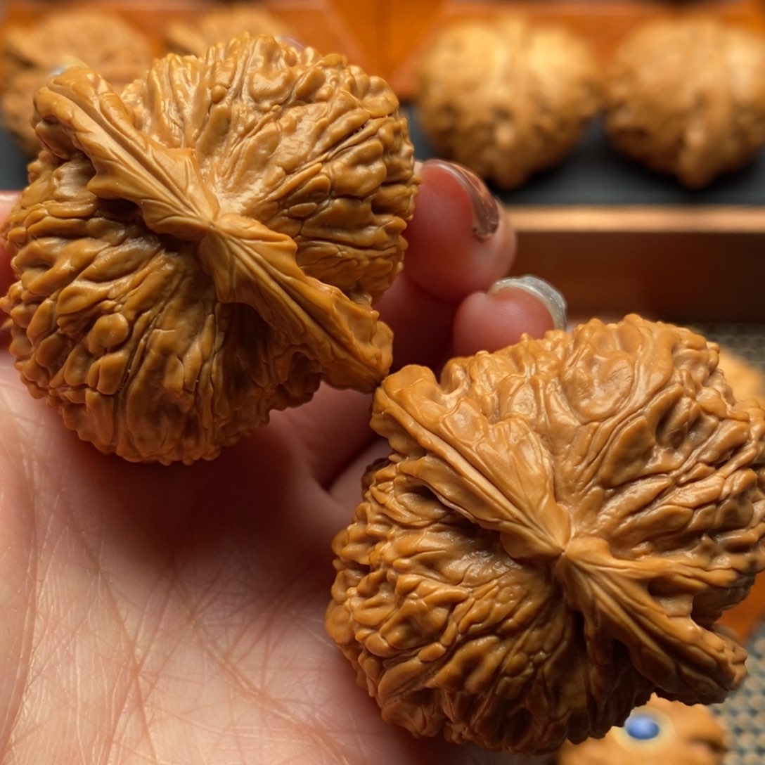 文玩核桃把件43尺寸白狮子