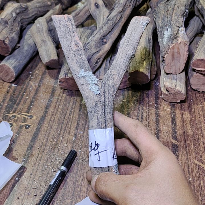 庆***年火琉璃原杈不保沉水慎拍！