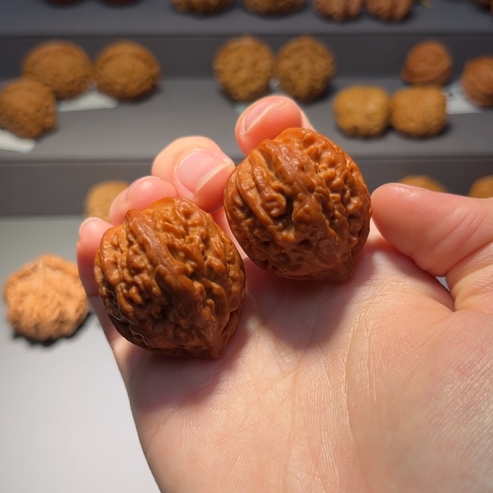 文玩核桃把件龙脊217