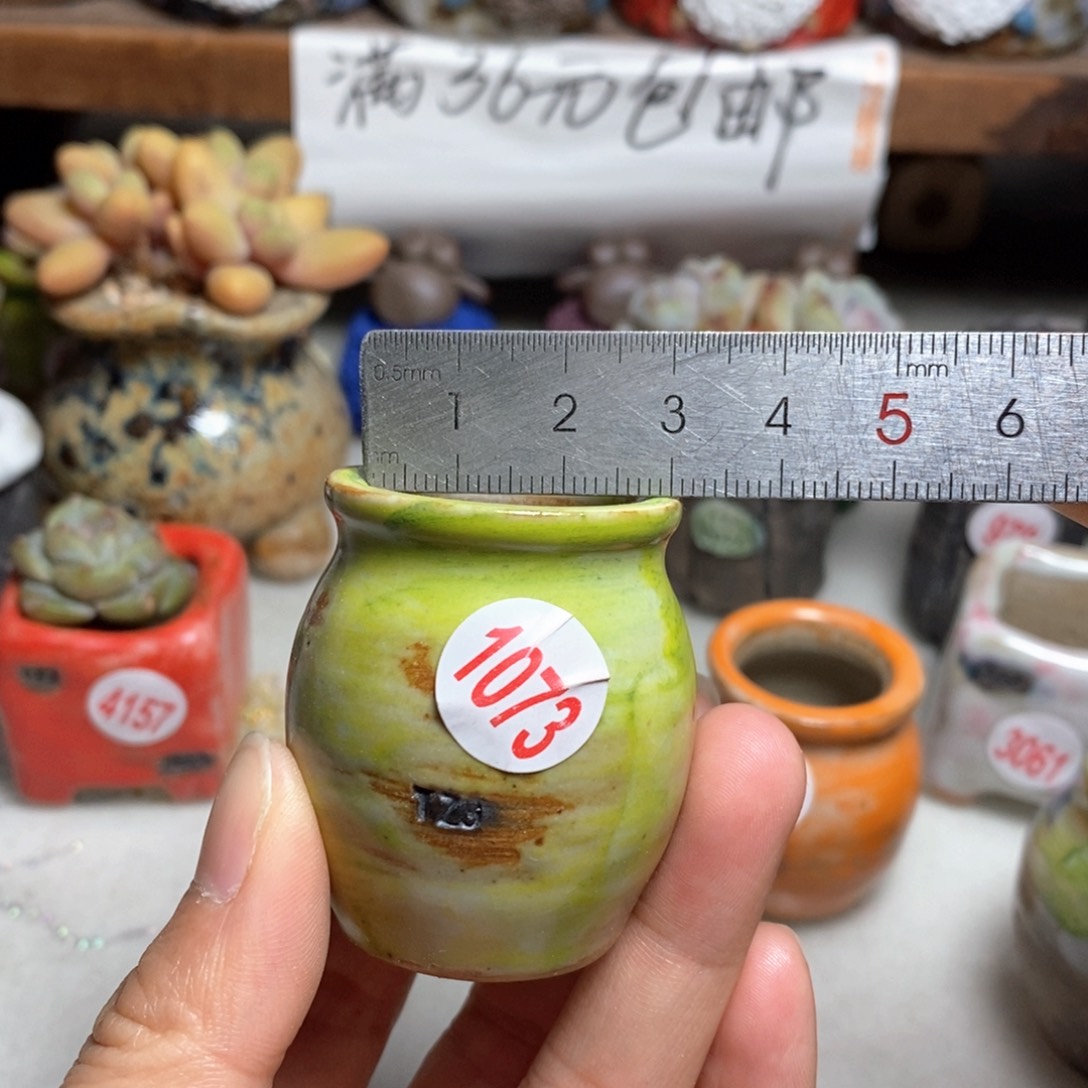 拍5送一个小礼物