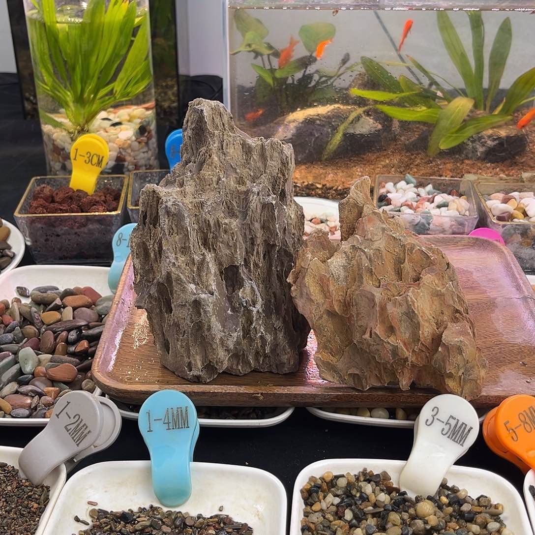 纯天然的松皮石2个