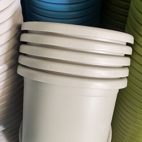 树脂四季4号灰白无托8个特价