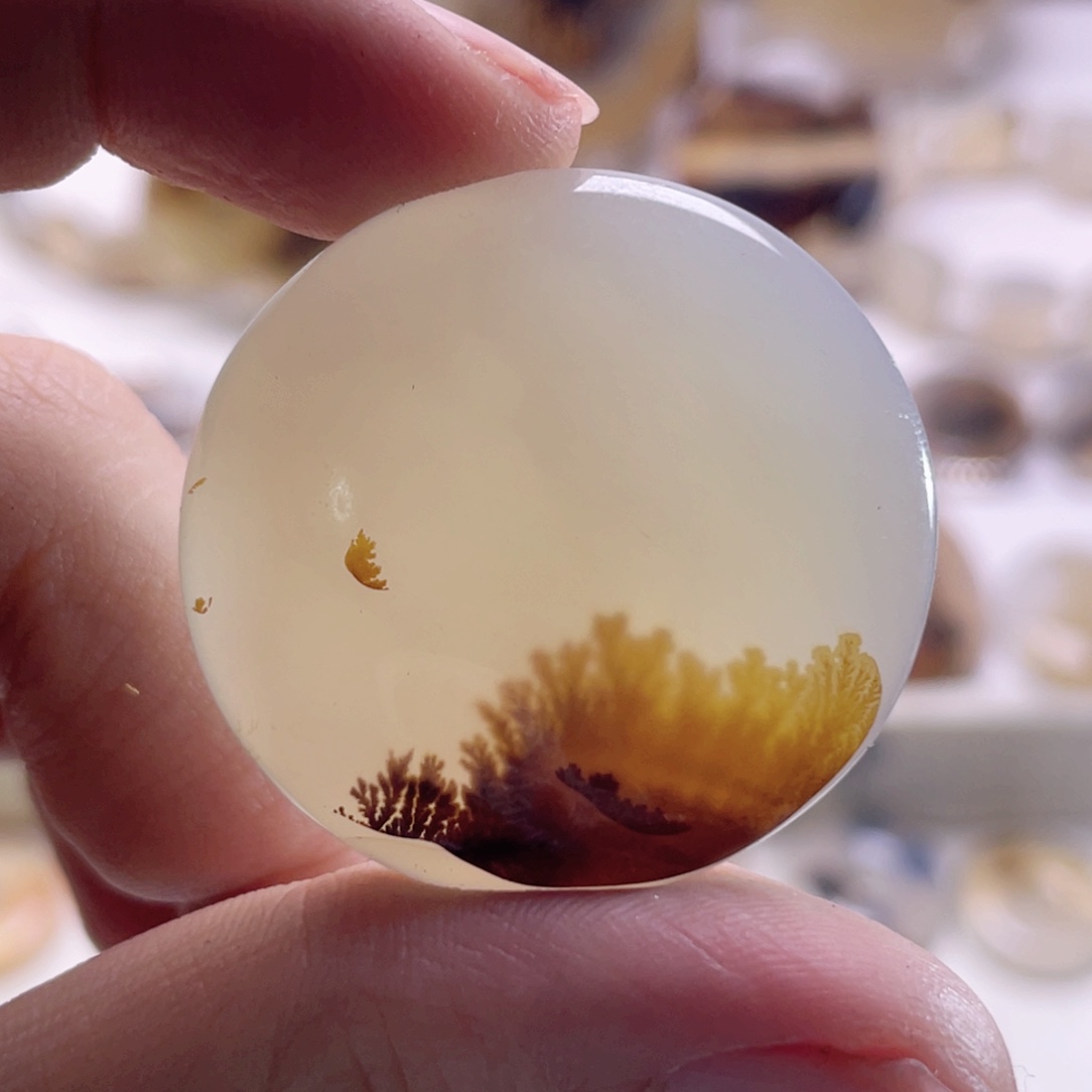 福***天玛瑙/玉髓未镶嵌珠宝奇石