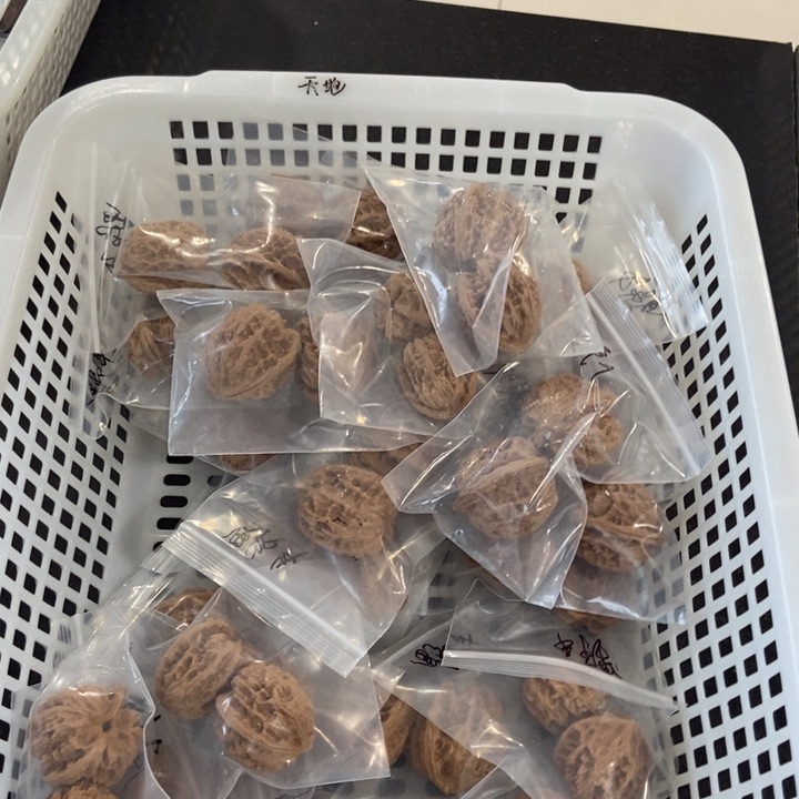 吊坠文玩核桃野牛瑕疵