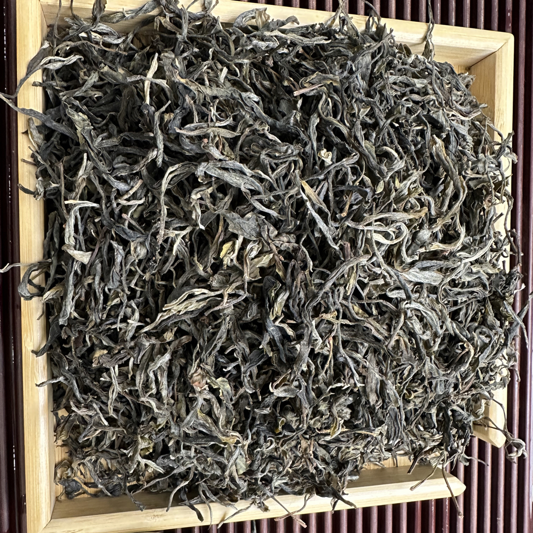 2024年 森林秘境古树  普洱茶 生茶 散茶