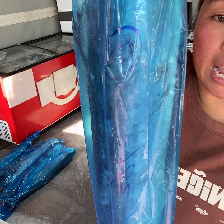 用***5中国大陆渤海湾野生燕鲅鱼6号