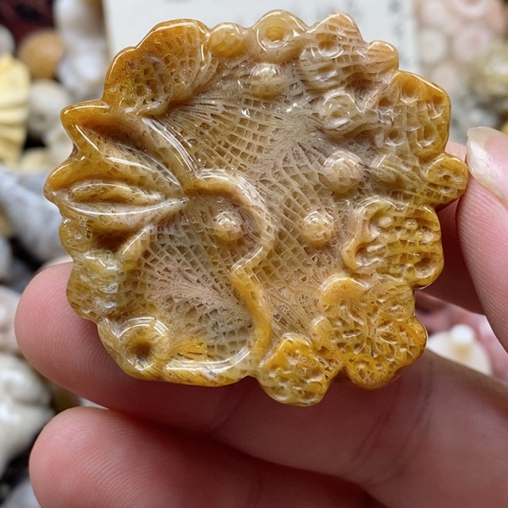颈饰未镶嵌硅化珊瑚（珊瑚玉）