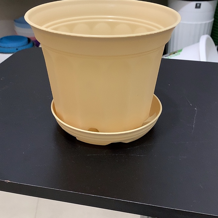 小果汀17口米黄5个带托