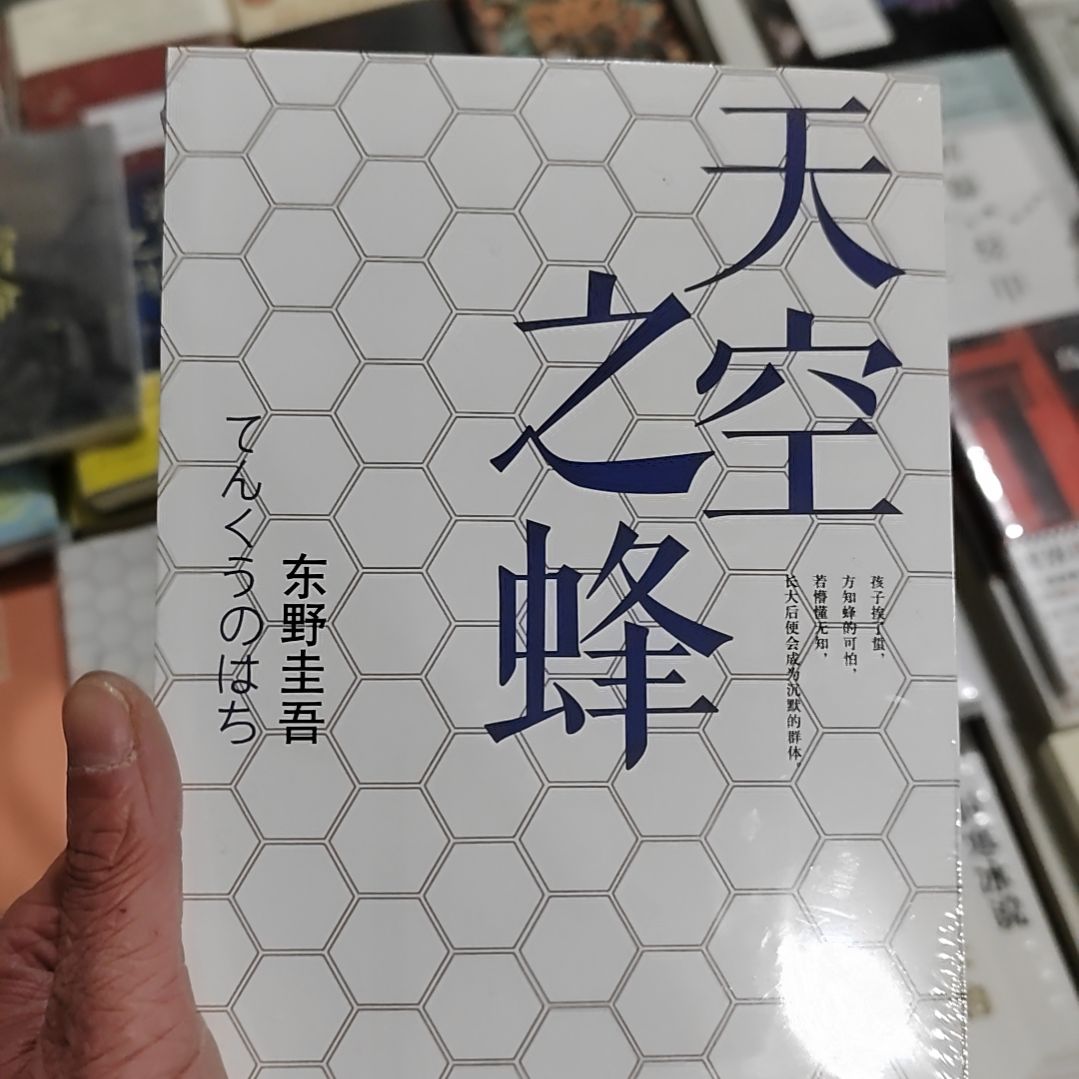 东野圭吾天空之峰