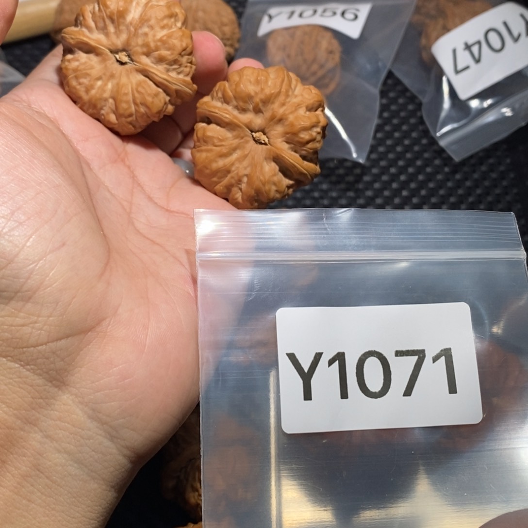 文玩核桃把件更蛤蟆42