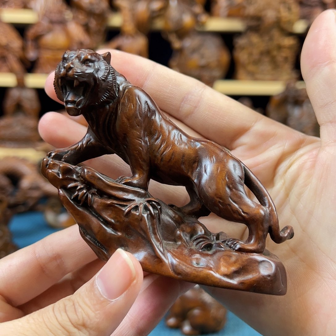 黄杨木小叶黄杨木