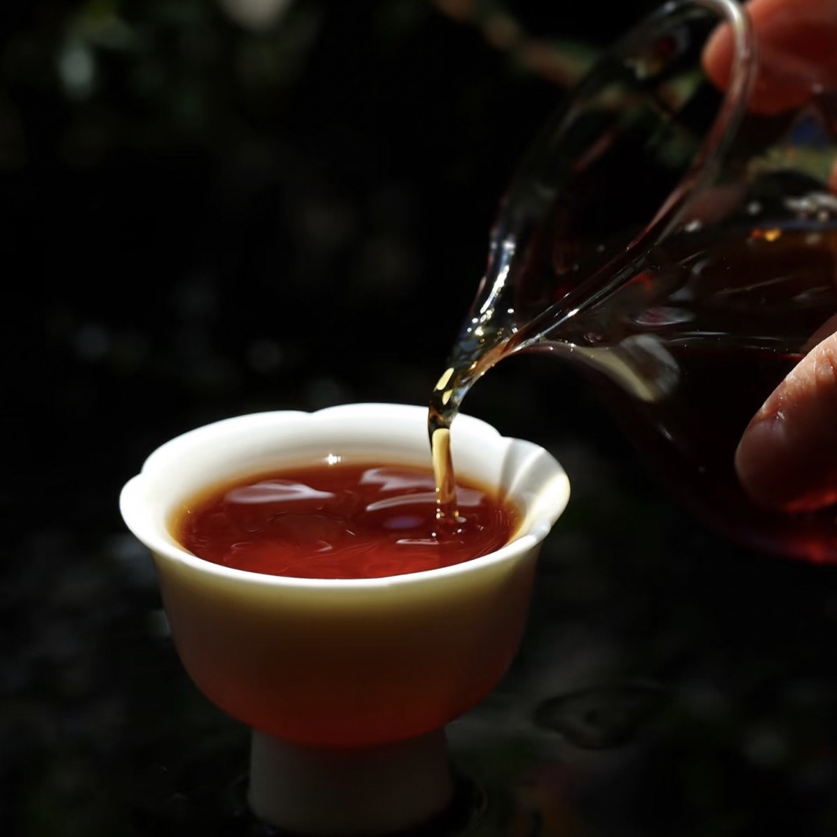 2大气茶商 中老期普洱茶通用链接（以主播介绍为准）