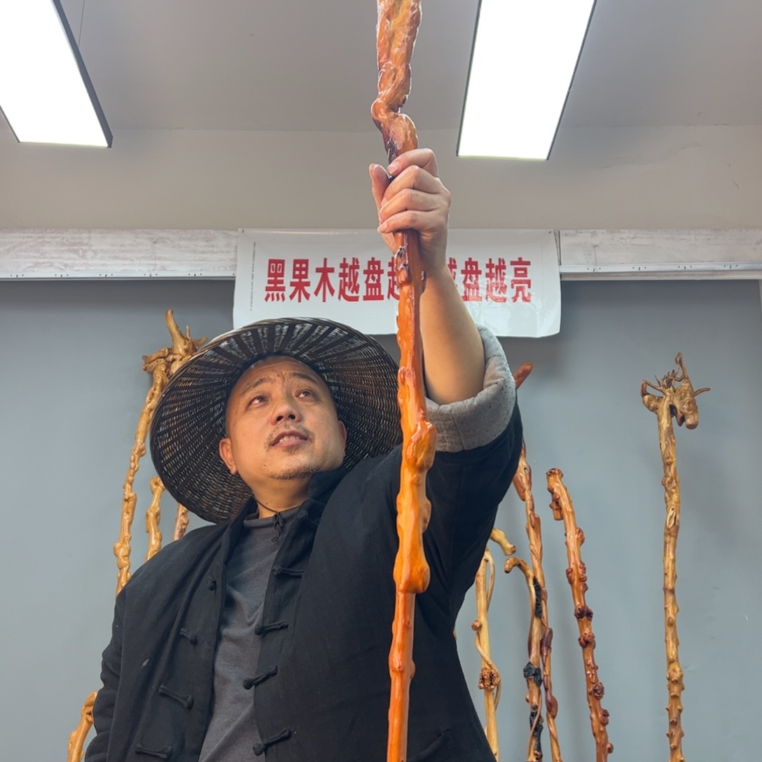 黑果木其他智*黑果木698