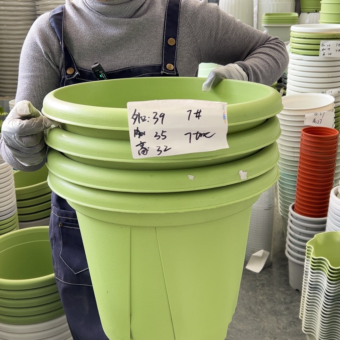 青山盆7#果绿色5个无托