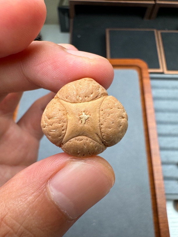 22+尼泊尔梅花麒麟眼菩提凤眼手串三通佛头，非质量问题开孔不退