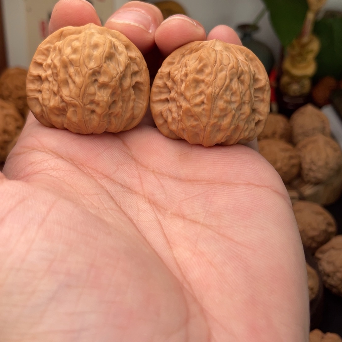 文玩核桃把件6**顺凤凰山38