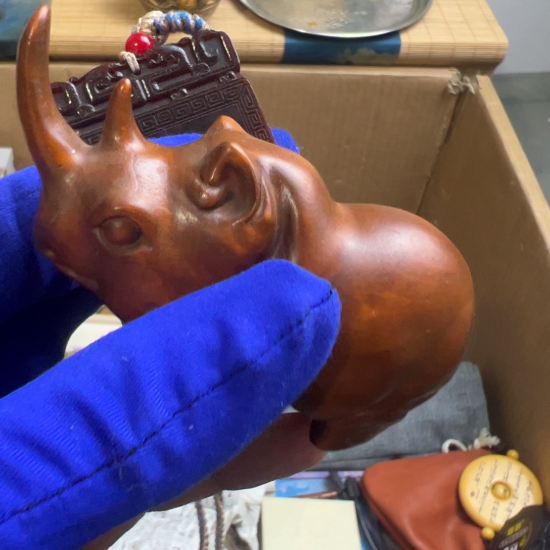 茶宠哈哈哈哈哈哈哈哈哈哈哈哈哈哈哈