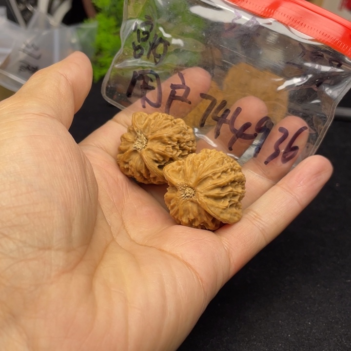 文玩核桃吊坠用****6宫灯