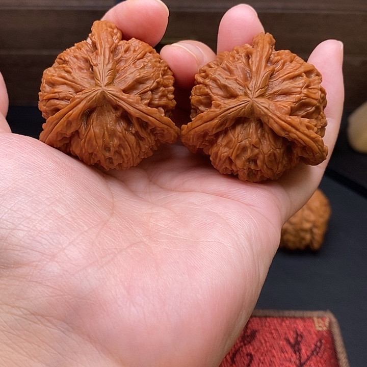 画***索把件文玩核桃白奔