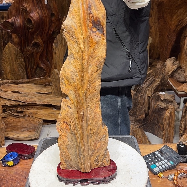 松木（琥珀木）有****。