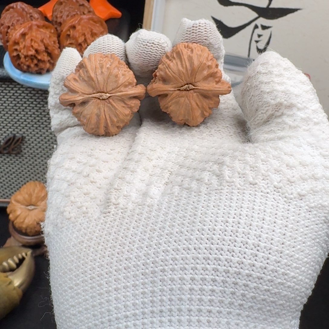 吊坠文玩核桃3507白狮子