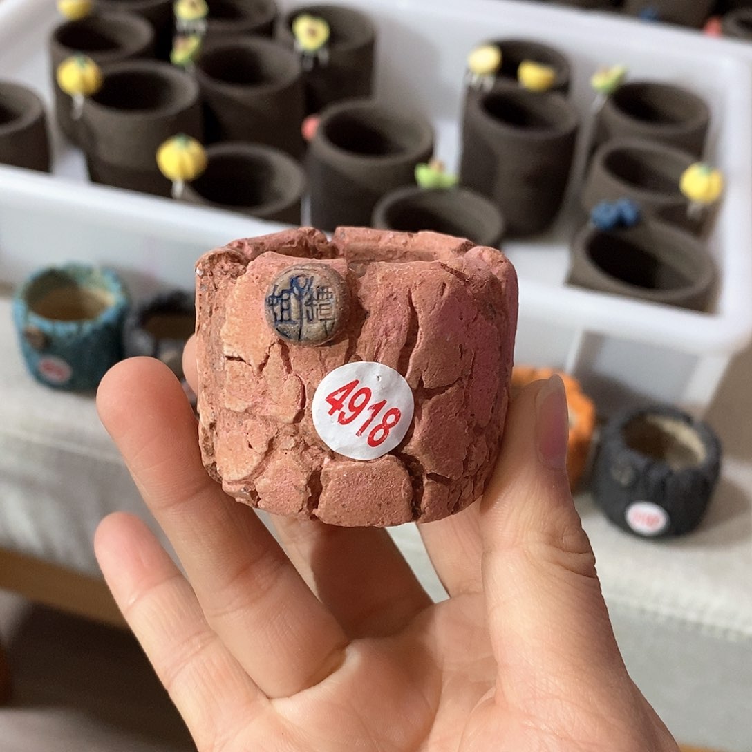 红陶h****p拍5送一个小