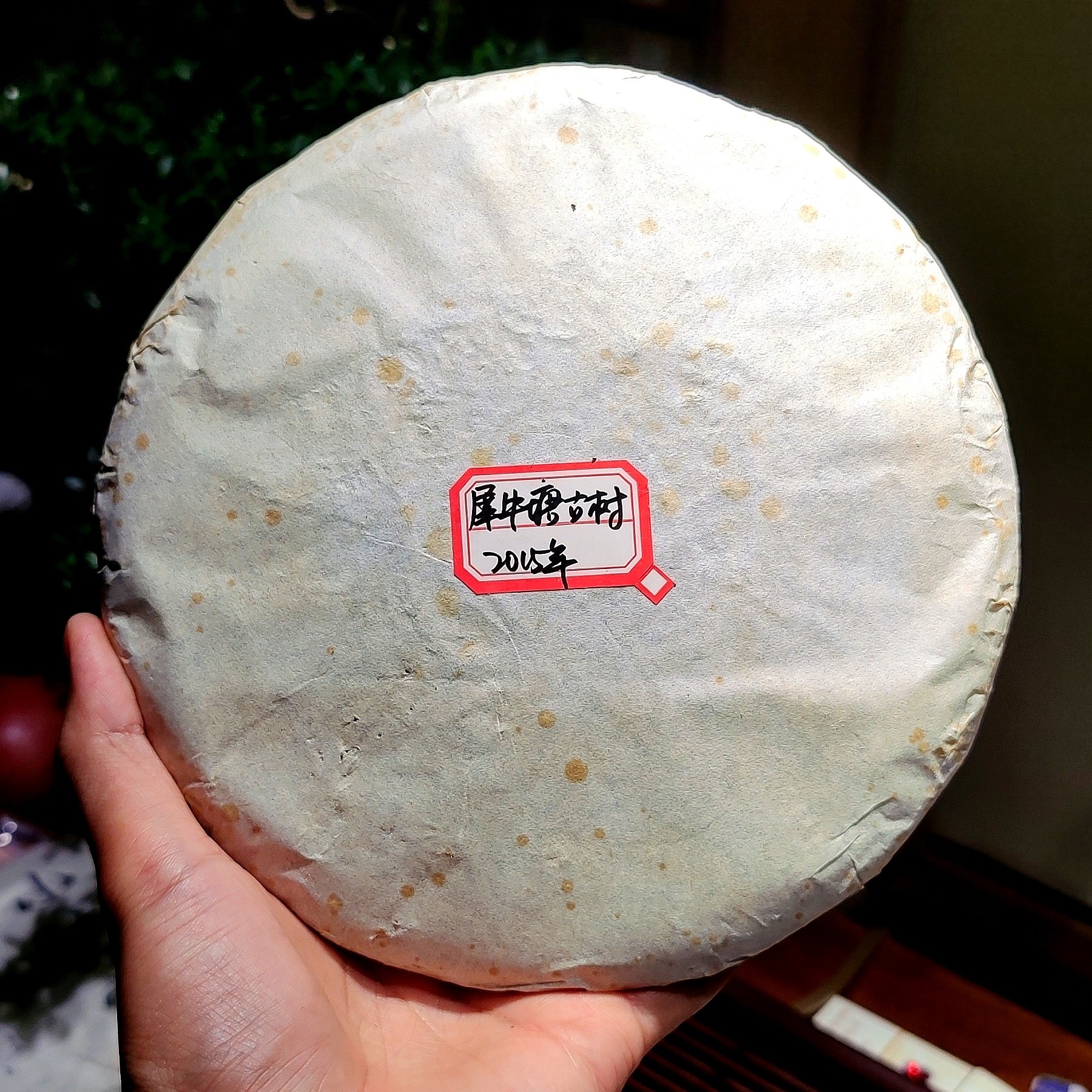 【李二狗的茶】2015年犀牛塘古树生茶357克