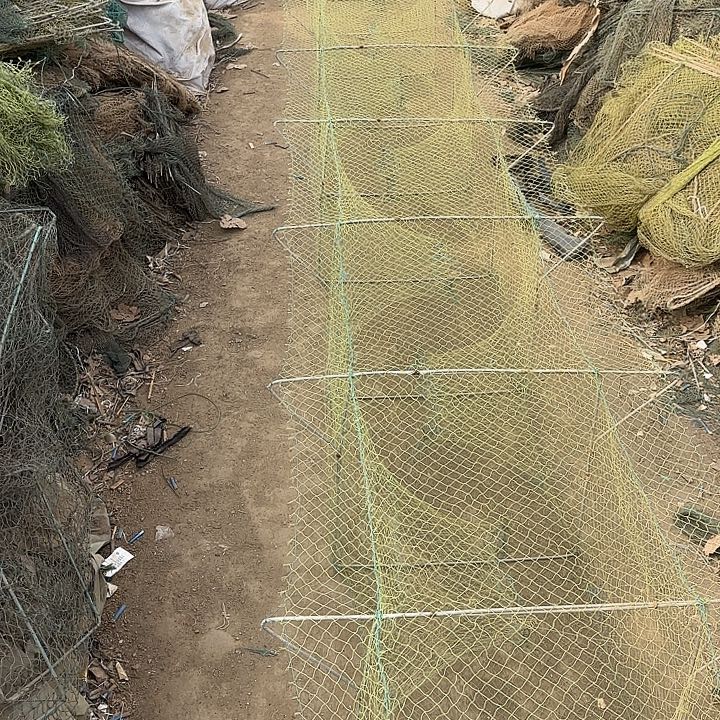 文***哥鱼笼12222555511111