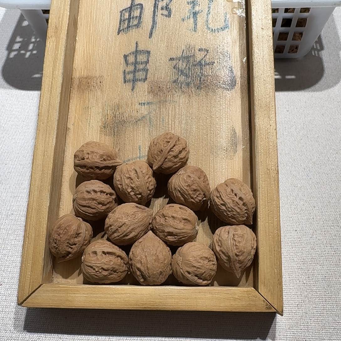 核桃手串/手链5号边19肚20高20