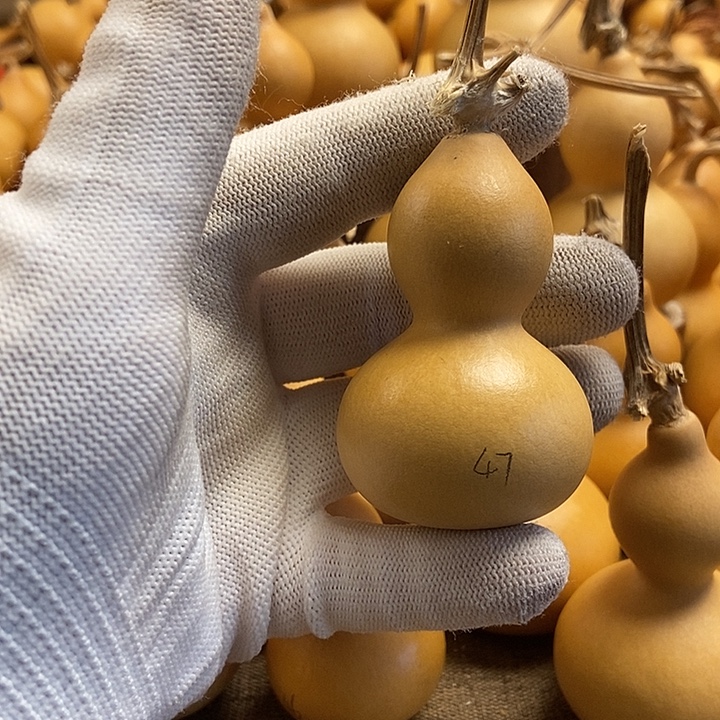 文玩葫芦 完美主义者 慎拍47